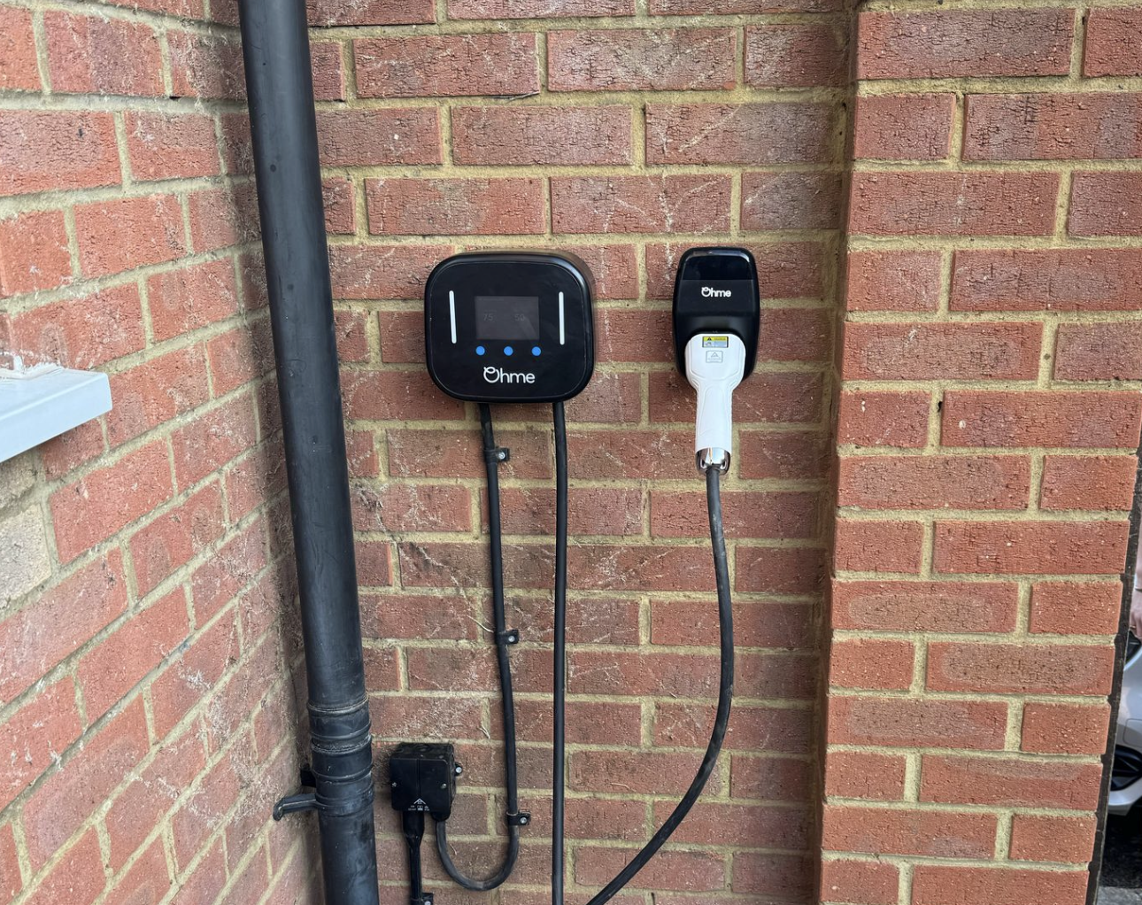 ev taylors job ev taylors job